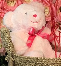 Medium Plush